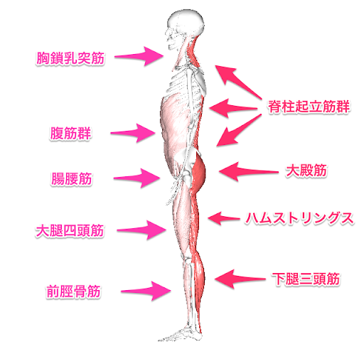 f:id:Richlife:20200223153113p:plain