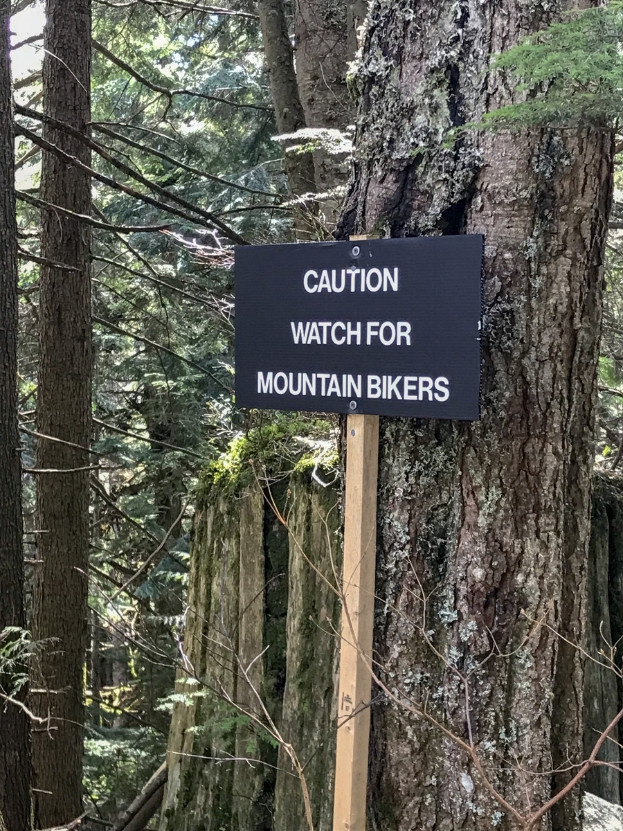 f:id:Rickykun:20190429131728j:plain