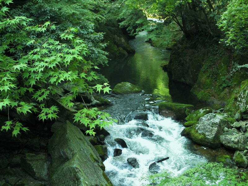 山と渓谷 Amazon.com: 山釣りJOY 2018 vol.2 (Japanese Edition) eBook