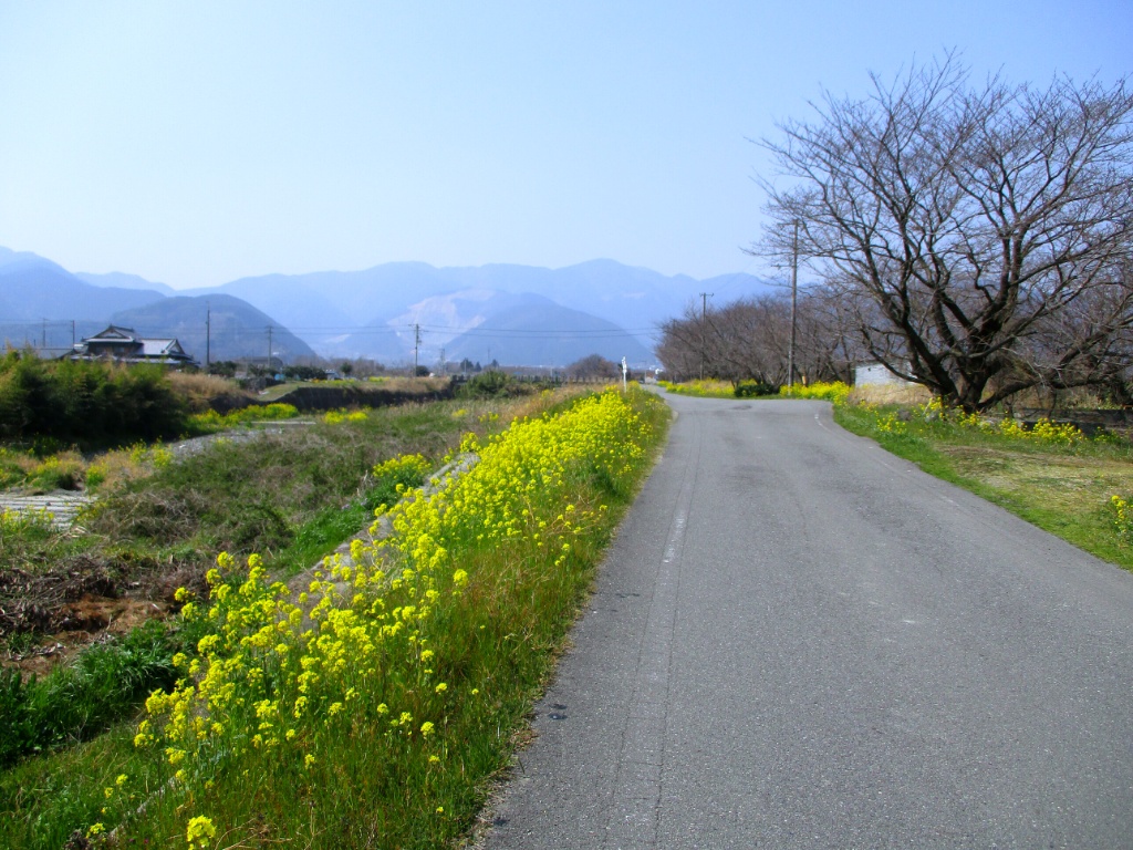 f:id:Ride-na:20170320015226j:plain