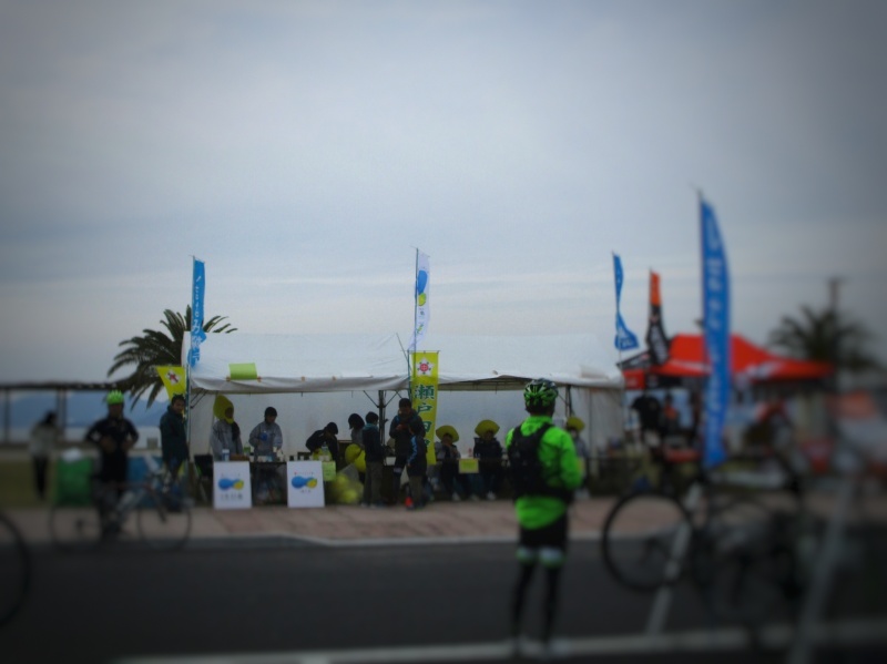 f:id:Ride-na:20170326211101j:plain f:id:Ride-na:20170326211101j:plain