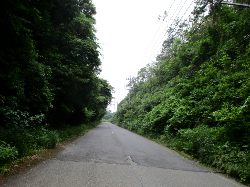 f:id:Ride-na:20170610211823j:plain f:id:Ride-na:20170610211823j:plain