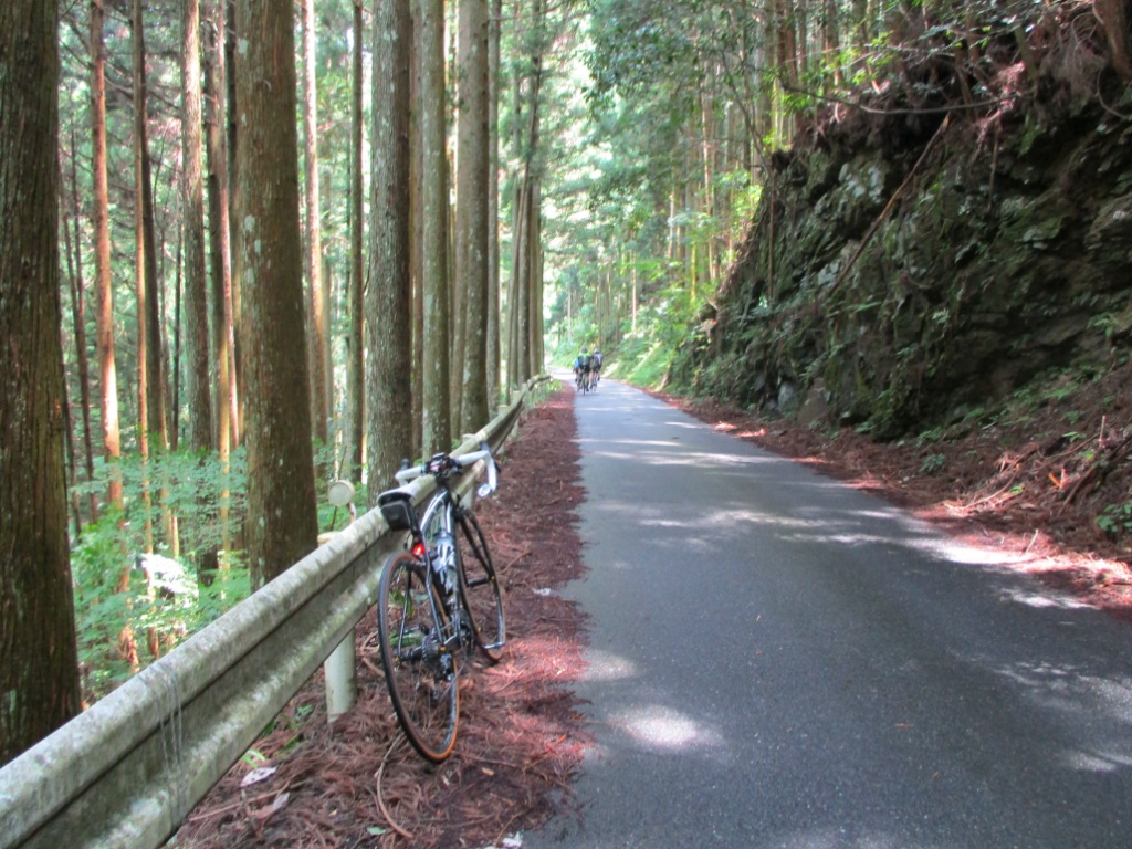 f:id:Ride-na:20170702182431j:plain f:id:Ride-na:20170702182431j:plain