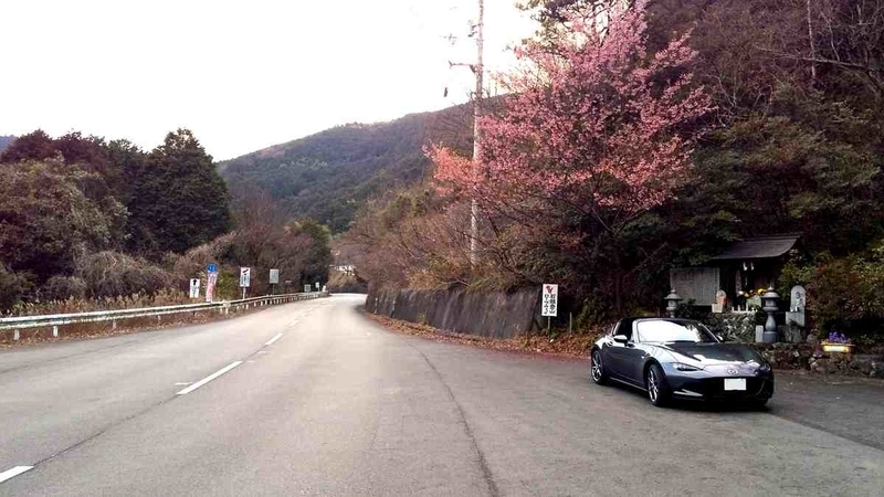 f:id:Ride-na:20210115221845j:plain