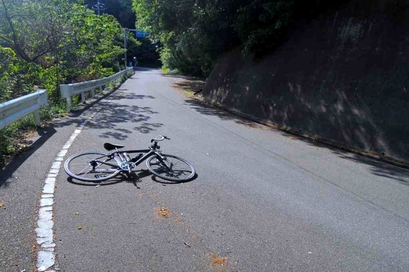 f:id:Ride-na:20210115231529j:plain