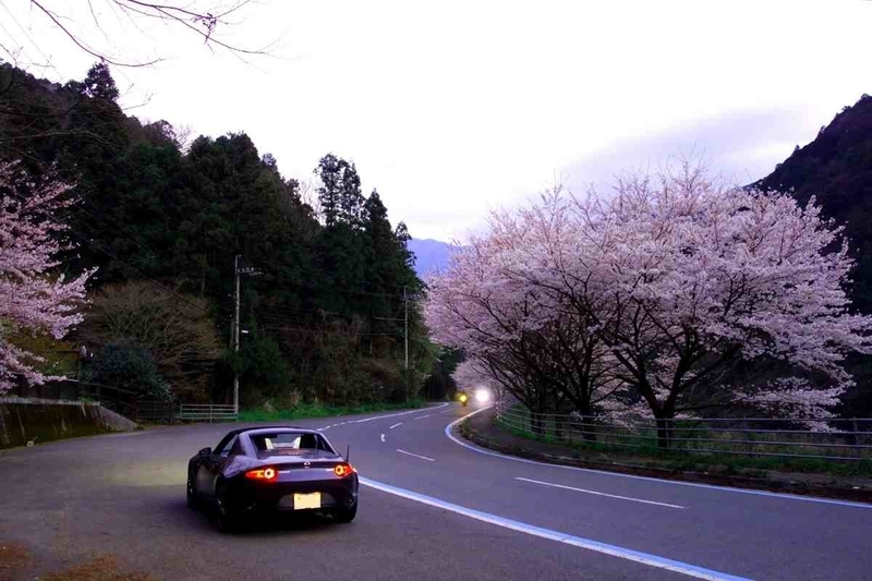 f:id:Ride-na:20210116075334j:plain