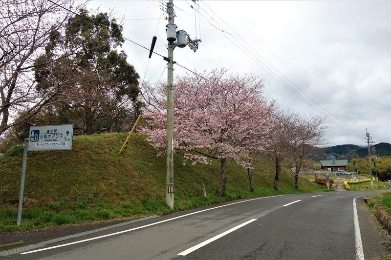 f:id:Ride-na:20210321181314j:plain