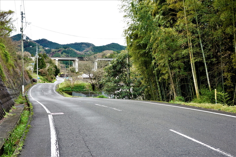 f:id:Ride-na:20210321181329j:plain