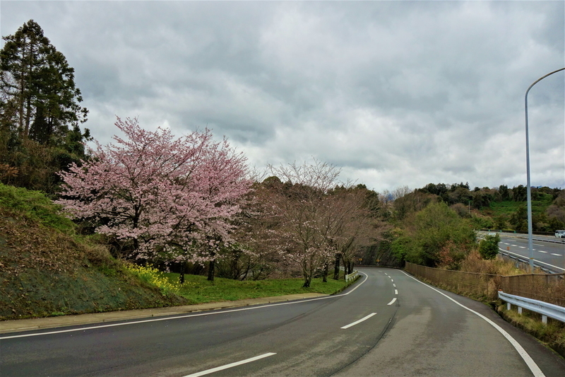 f:id:Ride-na:20210321181352j:plain