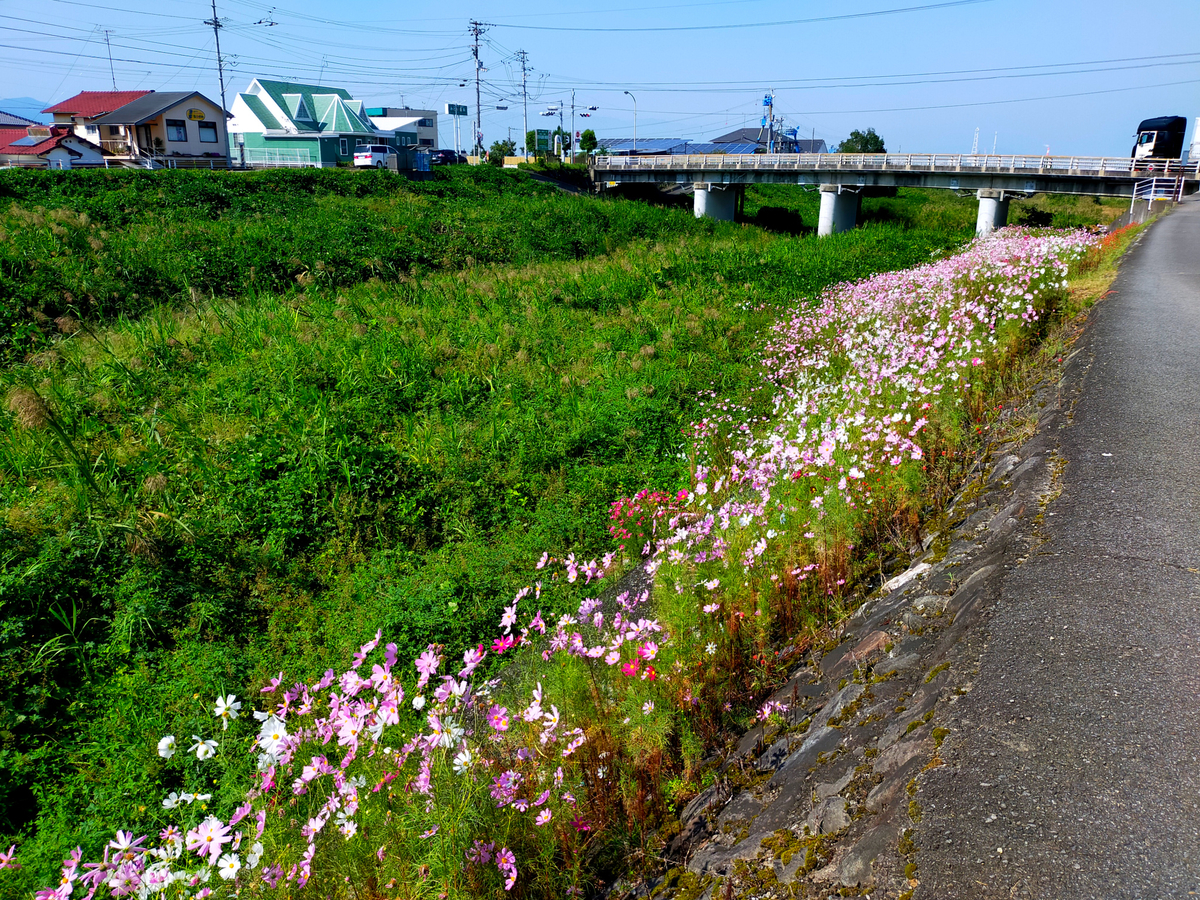 f:id:Ride-na:20211003134142j:plain