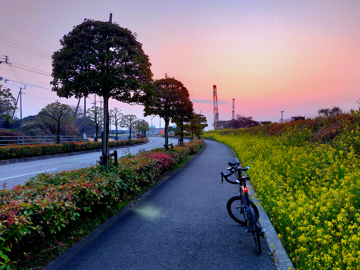 f:id:Ride-na:20220309211701j:plain