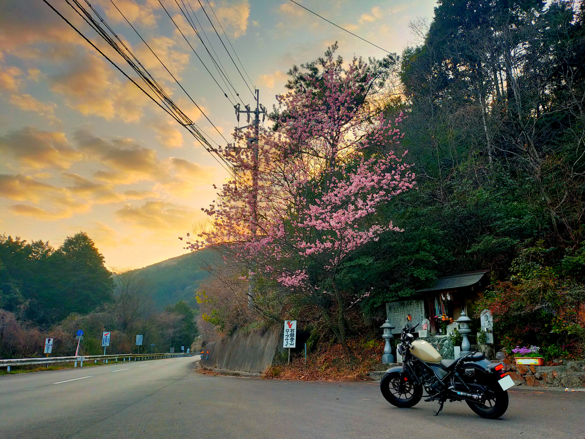 f:id:Ride-na:20220312184707j:plain