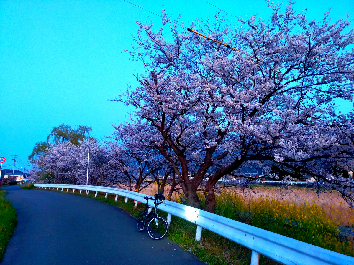 f:id:Ride-na:20220404220346j:plain