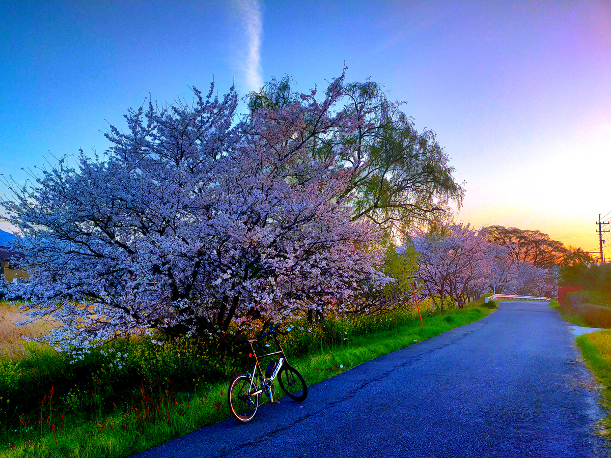 f:id:Ride-na:20220406204903j:plain