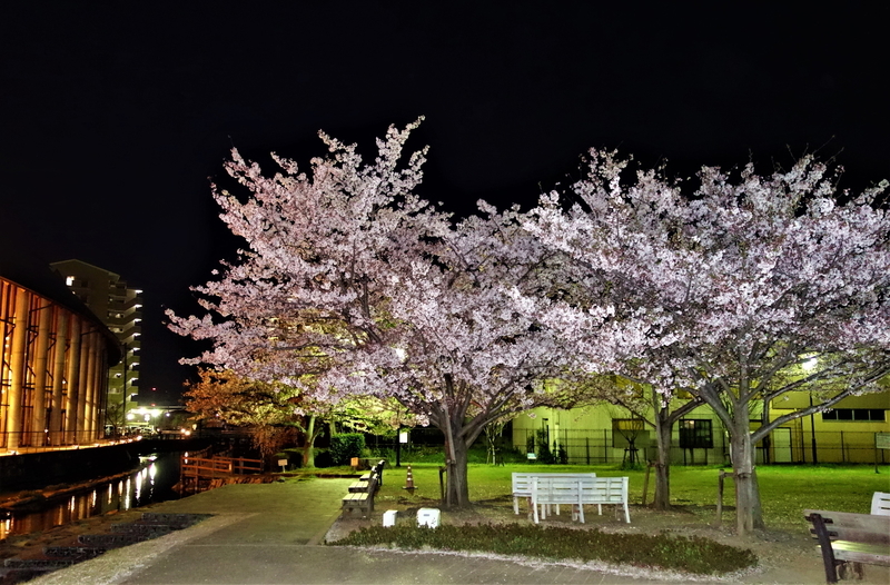 f:id:Ride-na:20220406215648j:plain