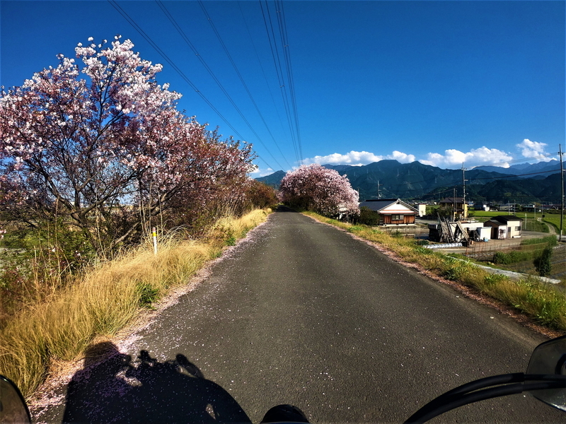 f:id:Ride-na:20220409202646j:plain