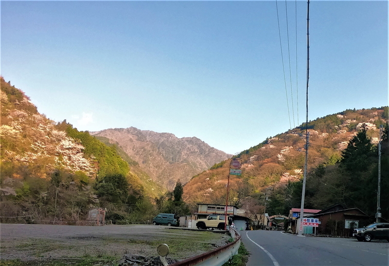 f:id:Ride-na:20220409202814j:plain