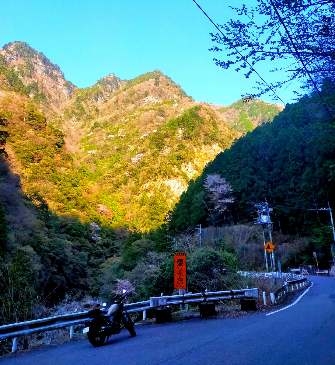 f:id:Ride-na:20220409205653j:plain