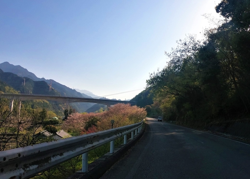 f:id:Ride-na:20220409211451j:plain