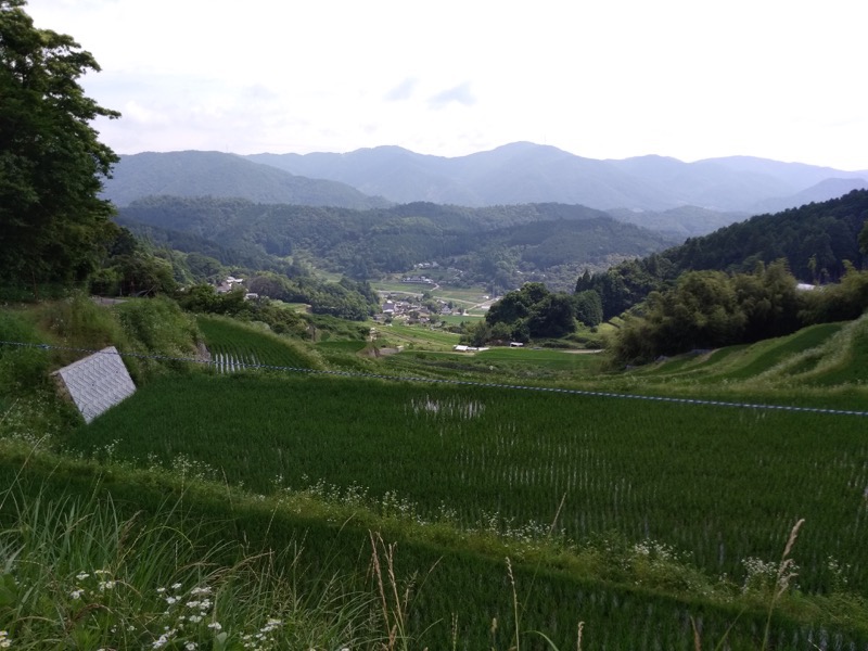 f:id:Rider_Hide:20170702204409j:plain f:id:Rider_Hide:20170702204409j:plain