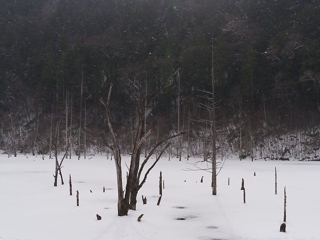 f:id:Rider_Hide:20180212180744j:plain f:id:Rider_Hide:20180212180744j:plain