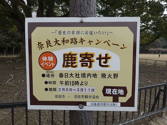 f:id:Rider_Hide:20180217203738j:plain f:id:Rider_Hide:20180217203738j:plain