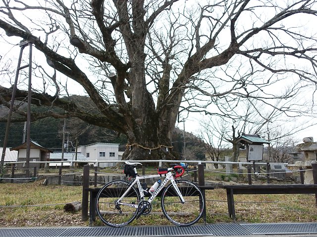 f:id:Rider_Hide:20180303203325j:plain f:id:Rider_Hide:20180303203325j:plain