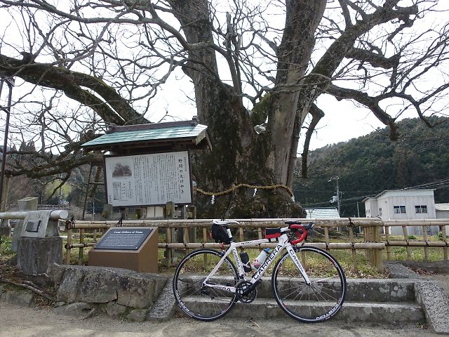 f:id:Rider_Hide:20180303203329j:plain f:id:Rider_Hide:20180303203329j:plain
