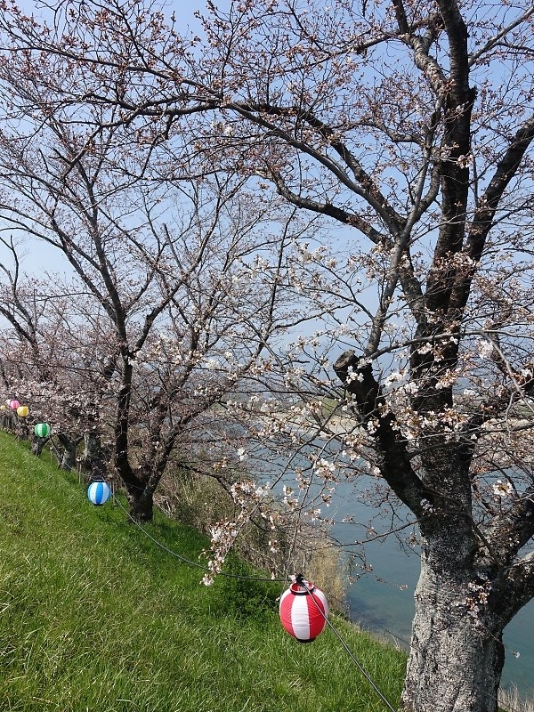 f:id:Rider_Hide:20180325174307j:plain f:id:Rider_Hide:20180325174307j:plain