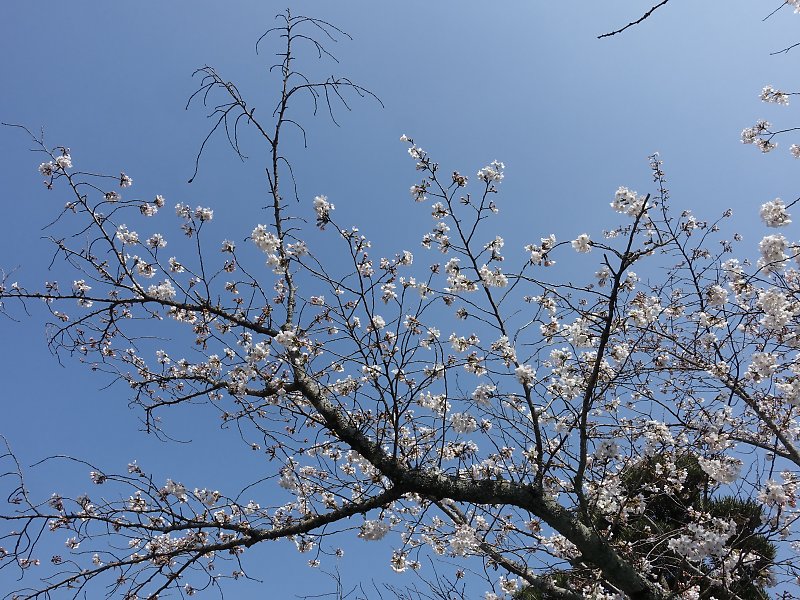 f:id:Rider_Hide:20180325174420j:plain f:id:Rider_Hide:20180325174420j:plain