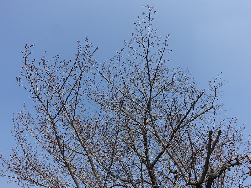 f:id:Rider_Hide:20180325174423j:plain f:id:Rider_Hide:20180325174423j:plain