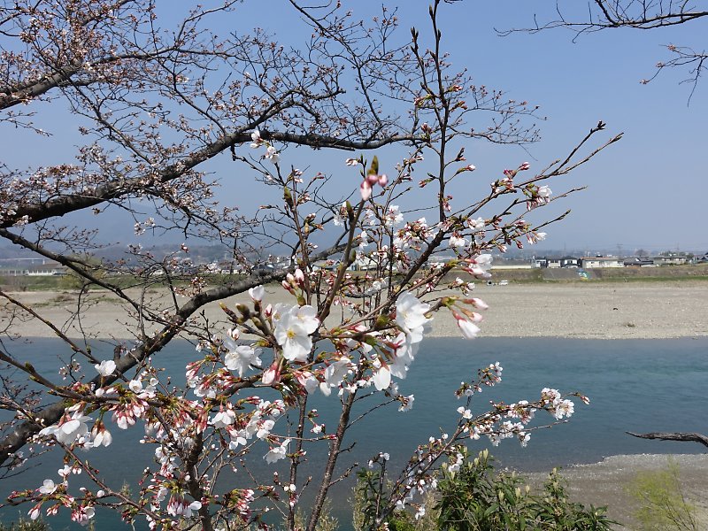 f:id:Rider_Hide:20180325174554j:plain f:id:Rider_Hide:20180325174554j:plain