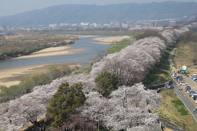 f:id:Rider_Hide:20180328212757j:plain f:id:Rider_Hide:20180328212757j:plain