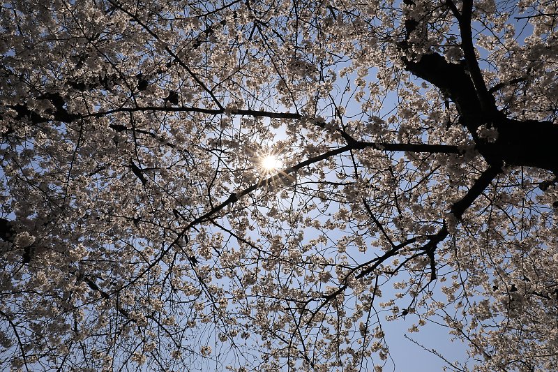f:id:Rider_Hide:20180328215751j:plain f:id:Rider_Hide:20180328215751j:plain