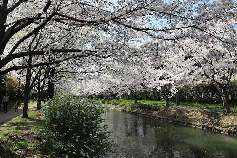 f:id:Rider_Hide:20180328215958j:plain f:id:Rider_Hide:20180328215958j:plain