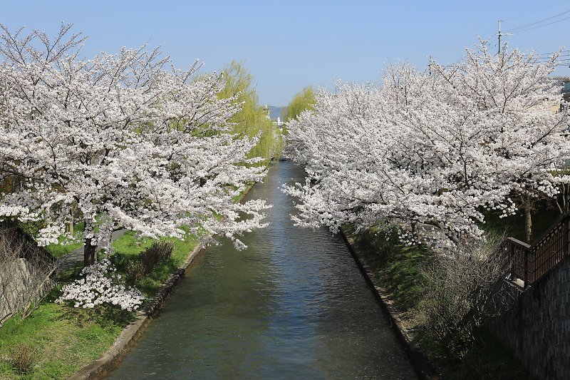 f:id:Rider_Hide:20180328220100j:plain f:id:Rider_Hide:20180328220100j:plain