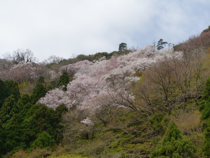 f:id:Rider_Hide:20180401165508j:plain f:id:Rider_Hide:20180401165508j:plain