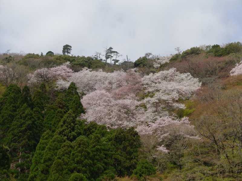 f:id:Rider_Hide:20180401165515j:plain f:id:Rider_Hide:20180401165515j:plain