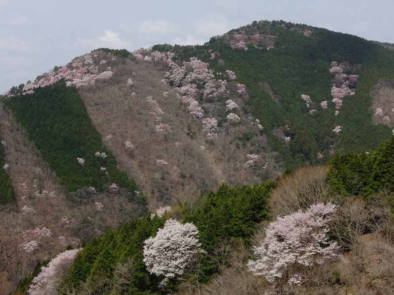 f:id:Rider_Hide:20180401165549j:plain f:id:Rider_Hide:20180401165549j:plain