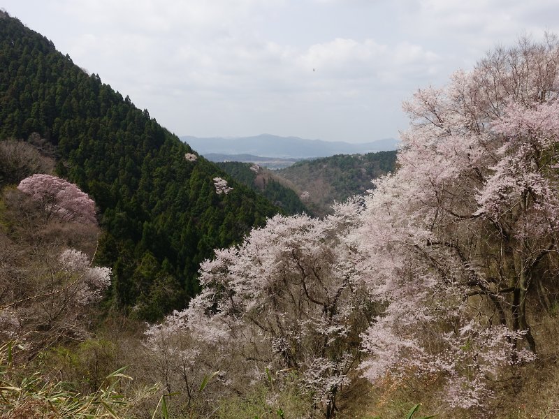 f:id:Rider_Hide:20180401165552j:plain f:id:Rider_Hide:20180401165552j:plain