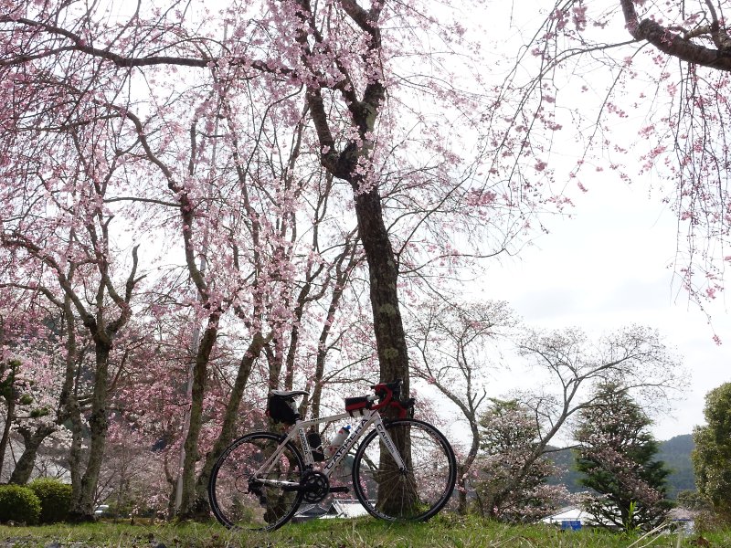 f:id:Rider_Hide:20180401165742j:plain f:id:Rider_Hide:20180401165742j:plain