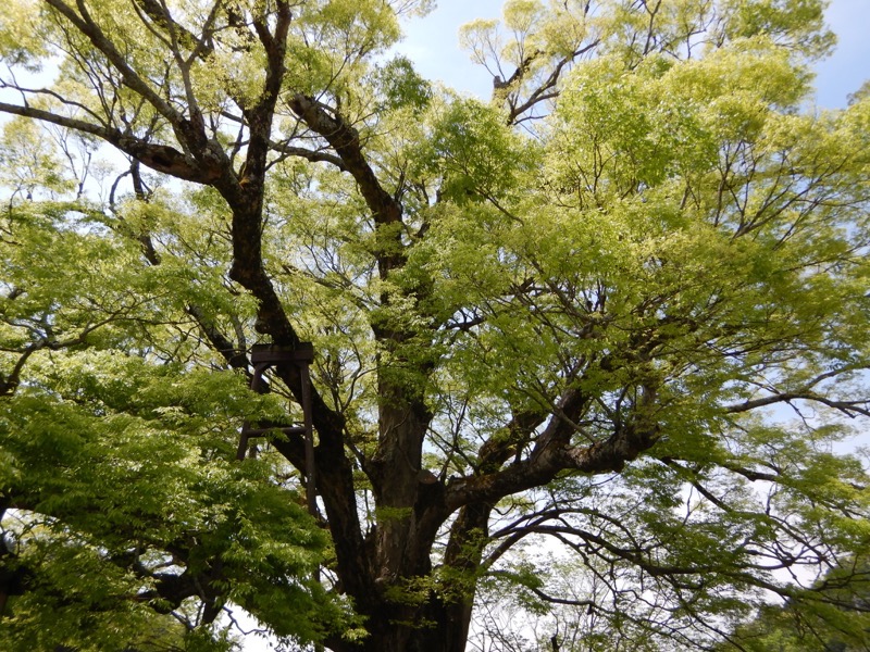 f:id:Rider_Hide:20180422203118j:plain f:id:Rider_Hide:20180422203118j:plain