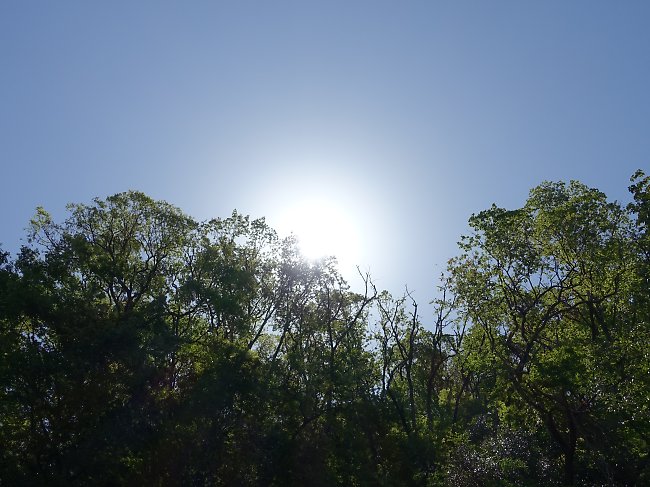 f:id:Rider_Hide:20180505193142j:plain f:id:Rider_Hide:20180505193142j:plain