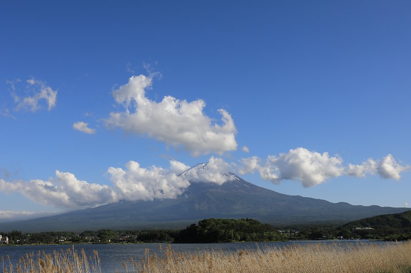 f:id:Rider_Hide:20180521134708j:plain f:id:Rider_Hide:20180521134708j:plain