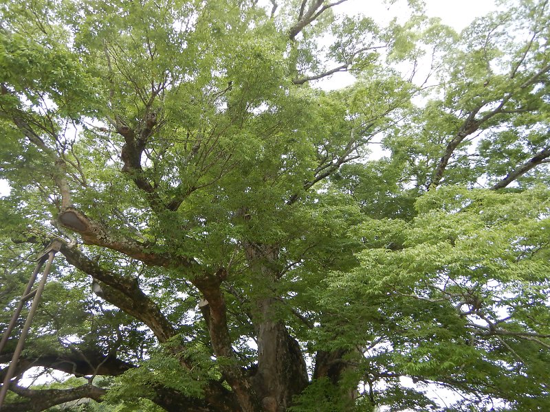 f:id:Rider_Hide:20180603163316j:plain f:id:Rider_Hide:20180603163316j:plain