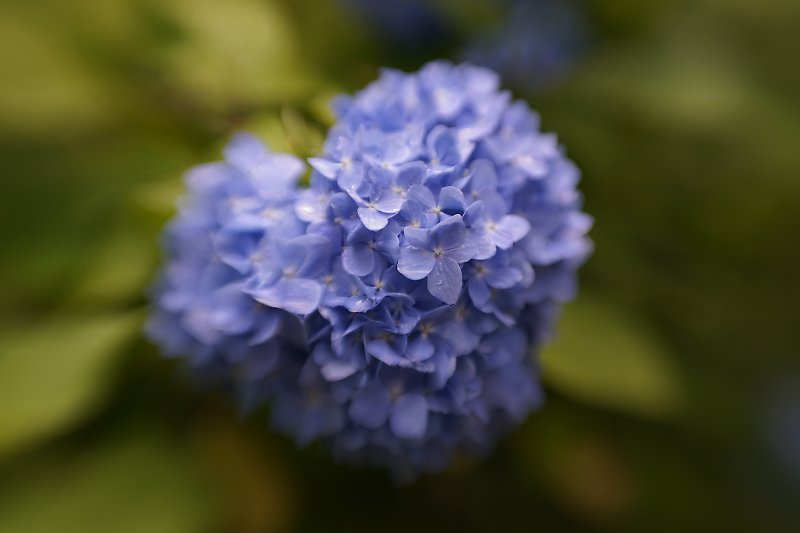 f:id:Rider_Hide:20180613223037j:plain f:id:Rider_Hide:20180613223037j:plain