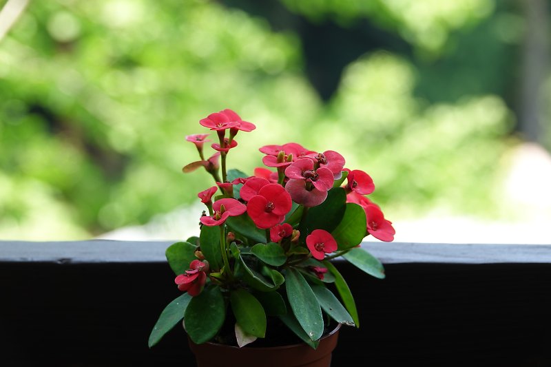 f:id:Rider_Hide:20180625203946j:plain f:id:Rider_Hide:20180625203946j:plain