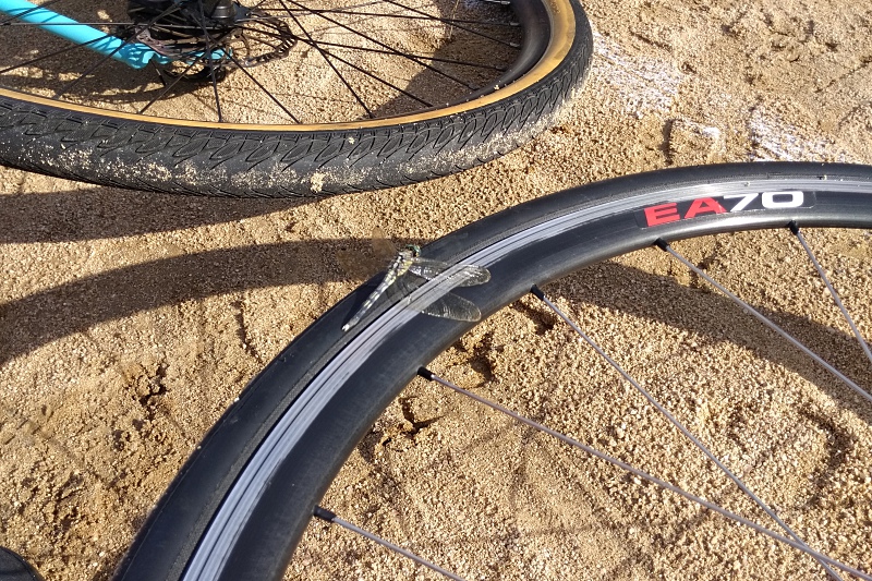 f:id:Rider_Hide:20180904155619j:plain f:id:Rider_Hide:20180904155619j:plain