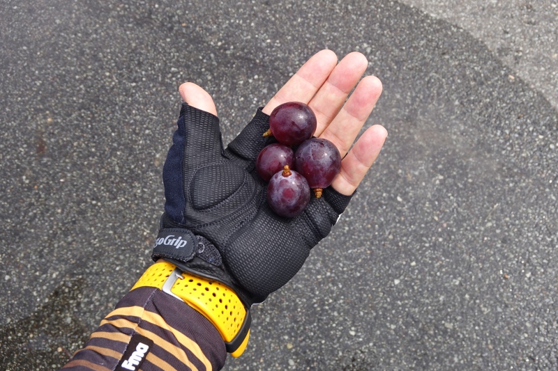 f:id:Rider_Hide:20180904155756j:plain f:id:Rider_Hide:20180904155756j:plain