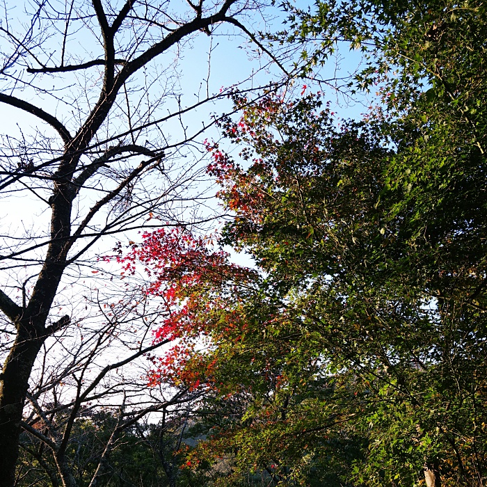 f:id:Rider_Hide:20181111212630j:plain f:id:Rider_Hide:20181111212630j:plain
